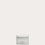 Vlogo Signature – Silver