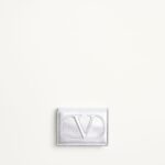 Vlogo Walk – Silver